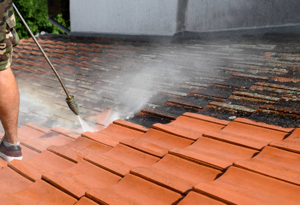 Best Commercial Building Pressure Washing  in Navy Yard City, WA